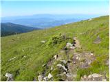 St. Vinzenz (St. Vinzenz) - Großer Speikkogel (Golica / Koralpe)